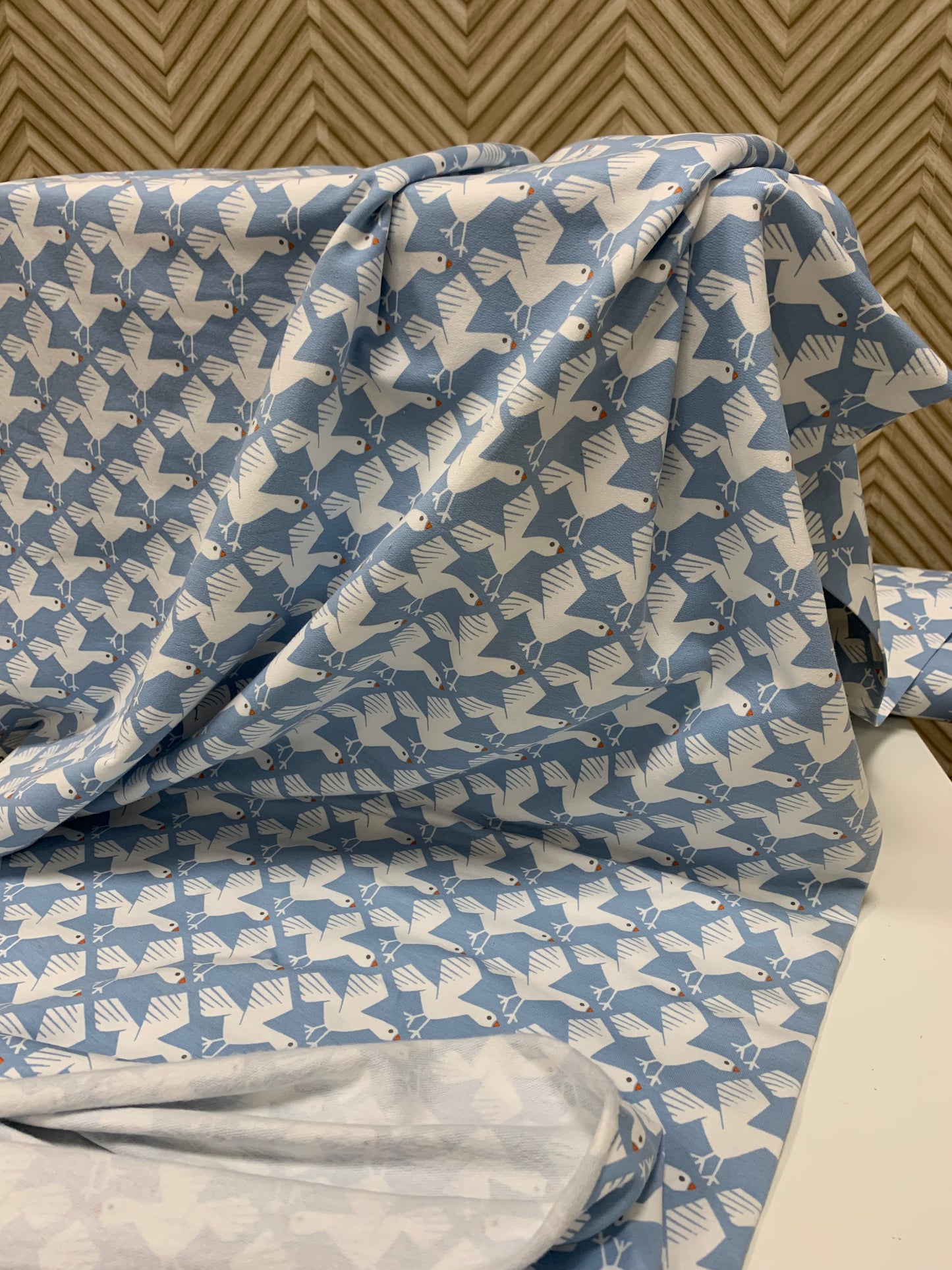 French Terry Vögel, leicht angeraut