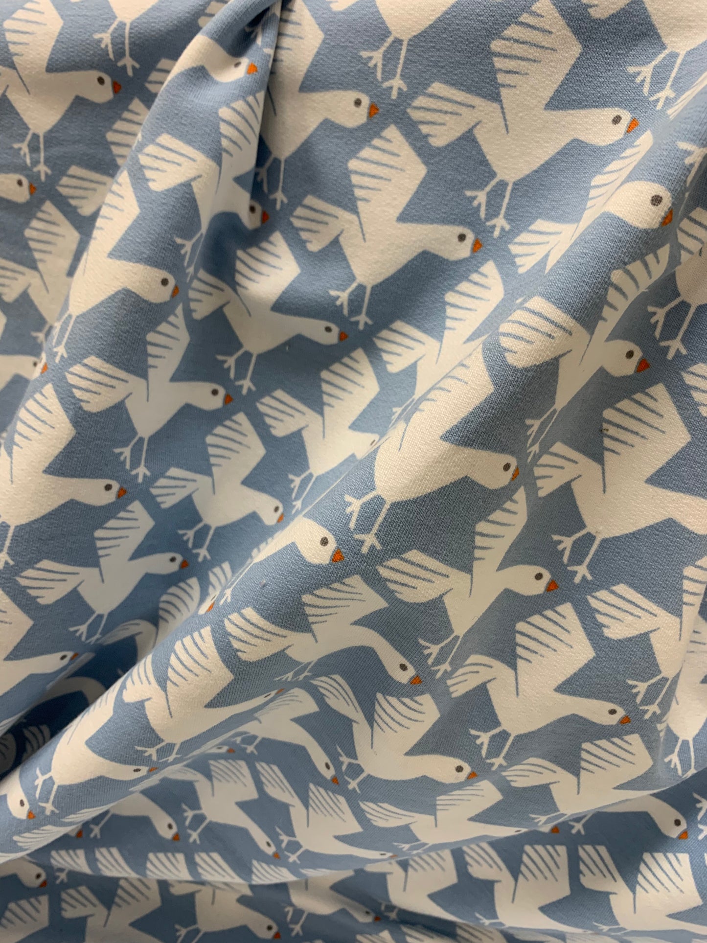 French Terry Vögel, leicht angeraut