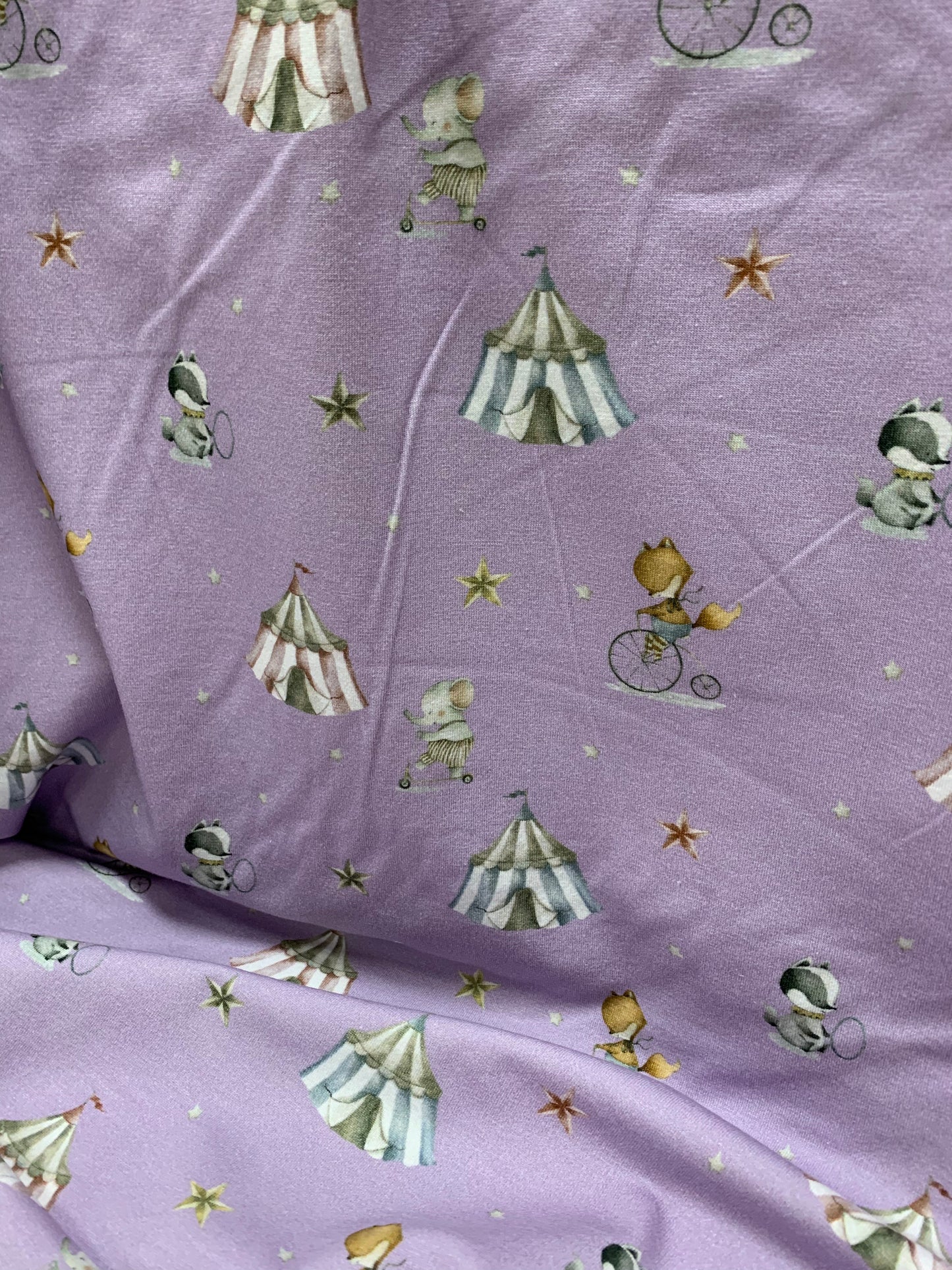 Jersey Zirkus