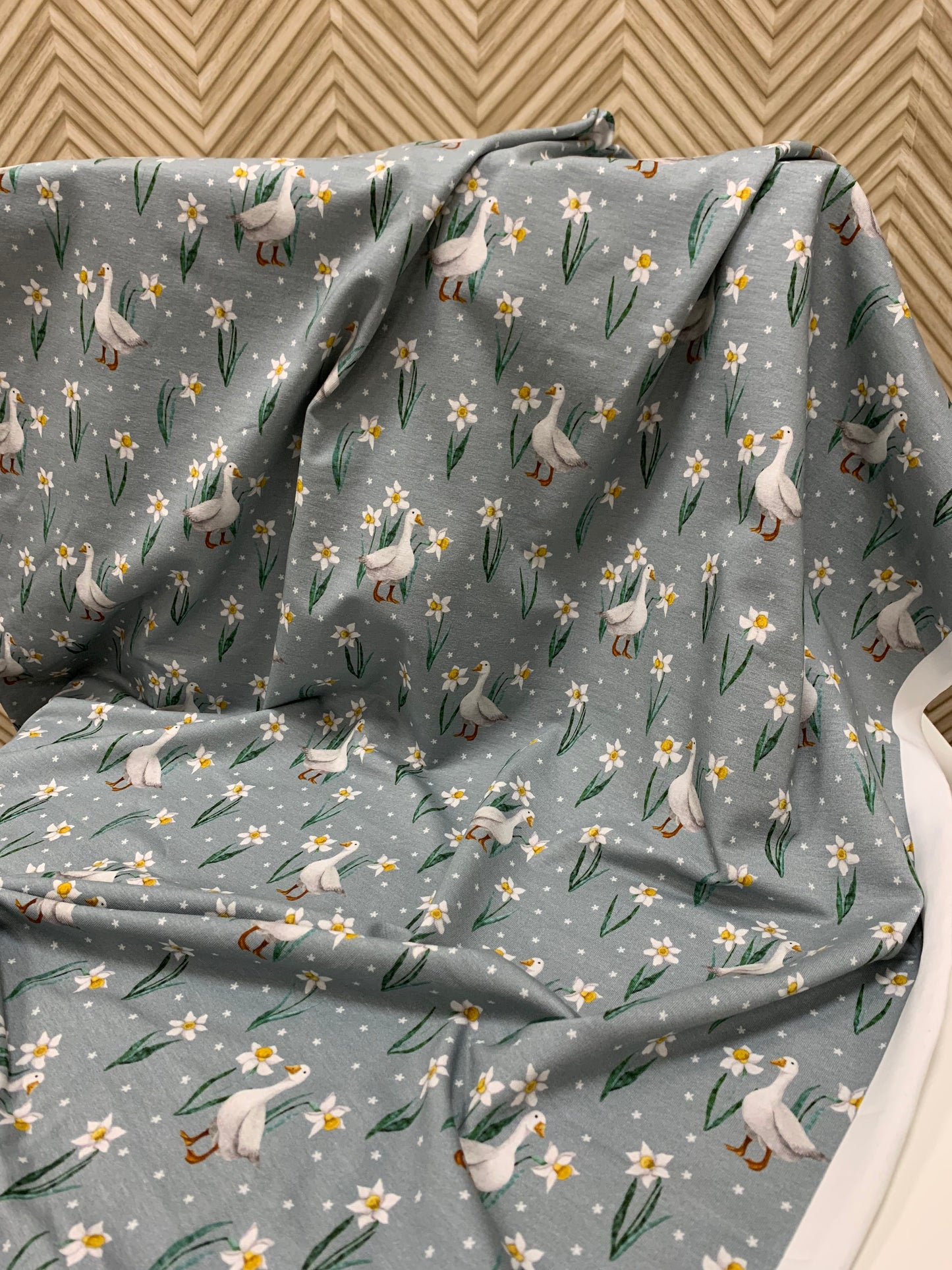 Jersey Gänse Blumen