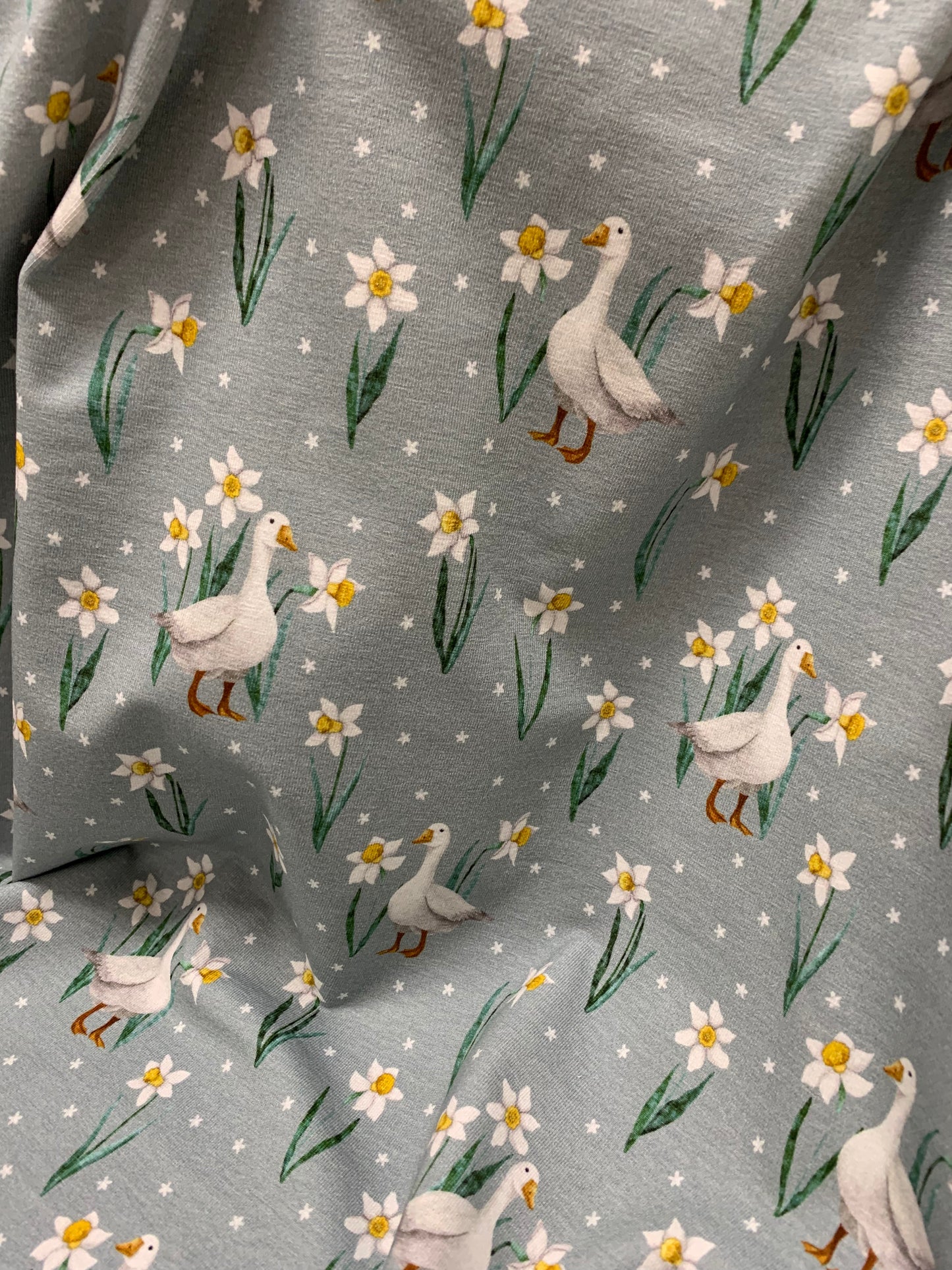 Jersey Gänse Blumen